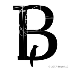 BAYA, LLC logo