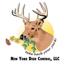 Avatar for New York Deer Control