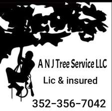 Logo for A n J Tree Service