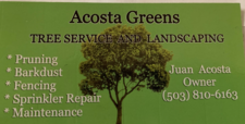 Logo for Acosta Greens, Landscape and Tree Service, LLC