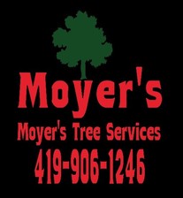 Avatar for Moyers Tree Services - Facebook