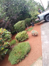 Logo for Menjivar Landscaping Service