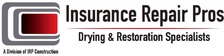 Insurance Repair Pros, LLC logo