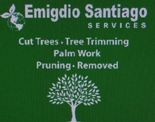 Logo for Emigdio Tree Service