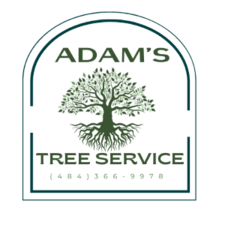 Avatar for Adams Tree Service & Removal