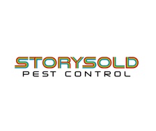 Avatar for Storysold