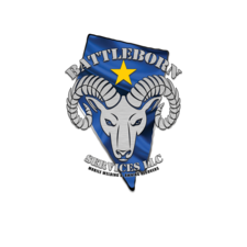 Logo for BattleBorn Services