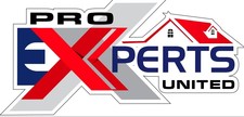 Texas Pro Maid logo