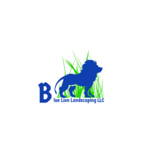 Avatar for Blue Lion Landscaping