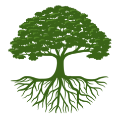 McDowell Landscaping, LLC logo