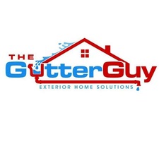 Avatar for The Gutter Guy