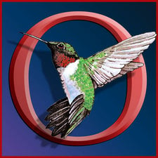 Avatar for Hummingbird Hollow Wildlife Control Services