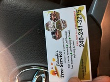 Logo for Estuardo Tree Service