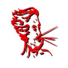 Hurricane Glass, Inc. logo