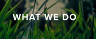 Ortega Landscaping logo