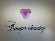 Avatar for Bunger Cleaning C.O -