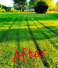 Logo for Cutt'In Up Tate's Lawn Service