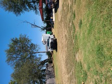 Logo for Flores Tree Service