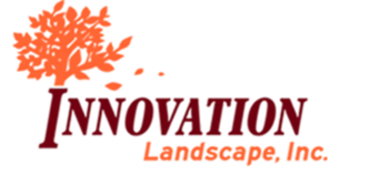 Innovation Landscape, Inc. logo