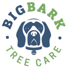 Logo for Big Bark Tree Care