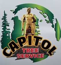 Capitol tree service LLC - Facebook logo