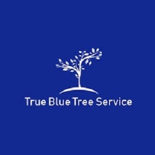 True Blue Tree Service logo