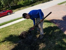Orchid Lawn Services logo