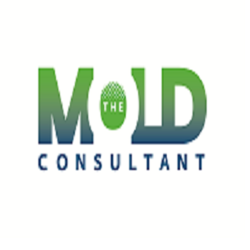 The Mold Consultant logo