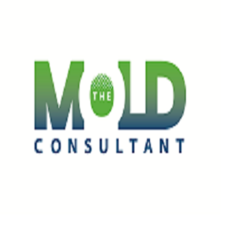 Avatar for The Mold Consultant