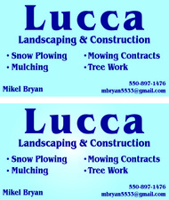 Avatar for Lucca Tree