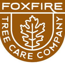 Logo for Foxfire Tree Care