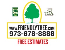 Avatar for Friendly Tree Experts, Inc.