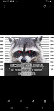 Avatar for Brasseur's Animal Removal