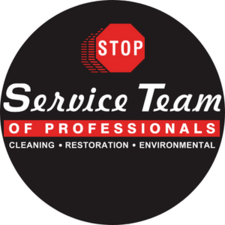 Service Team of Professionals logo
