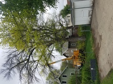 Avatar for Northbound Tree Service and Contracting LLC - Home Facebook