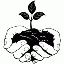 My Preferred Landscape logo