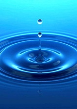 Preserve Pools - 131 Photos - Swimming Pool & Hot Tub Service - 760 Travelers Blvd Suite E, Summerville, SC 29485 logo