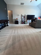Logo for Instant Carpet Cleaning