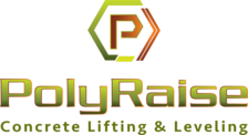 Polyraise, LLC logo