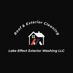 Lake Effect Exterior Washing logo