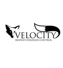 Velocity Enterprise, Corp. logo