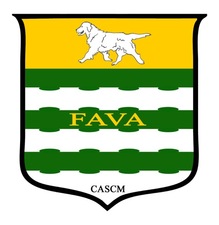 Logo for FAVA Renovations, LLC