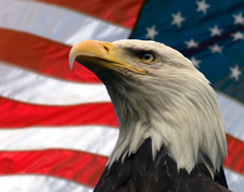 Avatar for American Electric and Plumbing, LLC