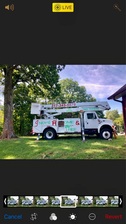 Indy's Home & Tree Doctors, LLC logo