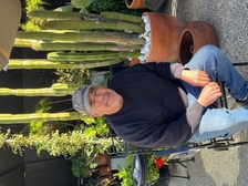 Avatar for Arroyo Handyman - Unlicensed Contractor