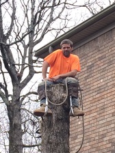 Logo for A Cut Above Tree Service