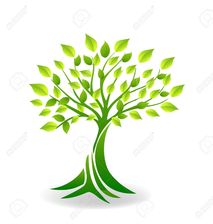 Logo for Carolina Tree Specialists
