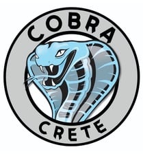 Avatar for Cobra Crete, LLC