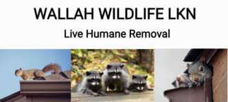 Wallah Wildlife LKN logo