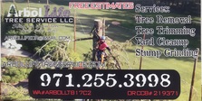 Logo for Arbol Life Tree Service, LLC